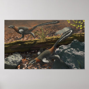 Mei Long Print Poster