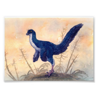 Mei-utskrift Fototryck