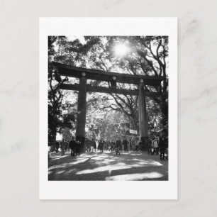 Meiji Shrine: Tokyo, Japan Vykort