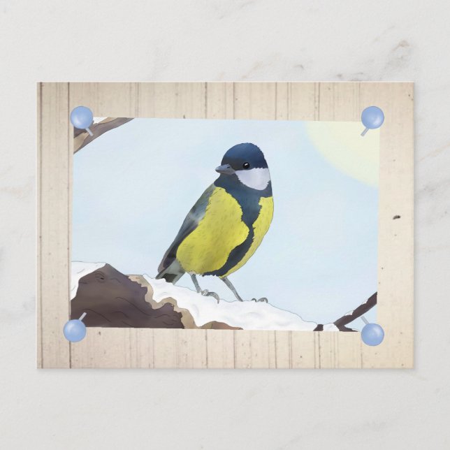 Meise im Winter Vykort (Framsida)