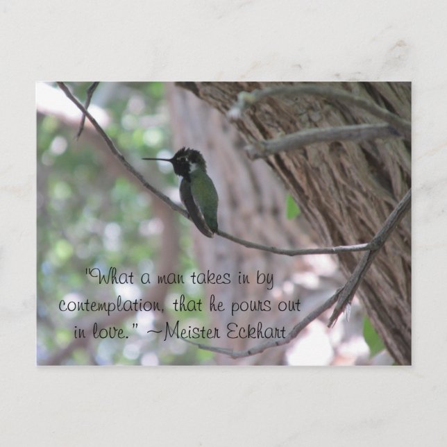 Meister Eckhart Contemplation Quote Hummingbird Vykort (Framsida)