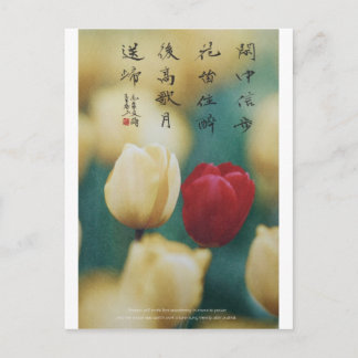 meitokai postkort 5 vykort