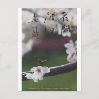 meitokai-vykort 1 vykort