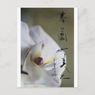 meitokai-vykort 4 vykort