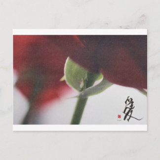 meitokai-vykort 7 vykort