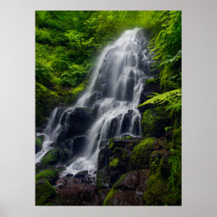 Mejerianläggningar Colombia River Gorge Oregon. Poster