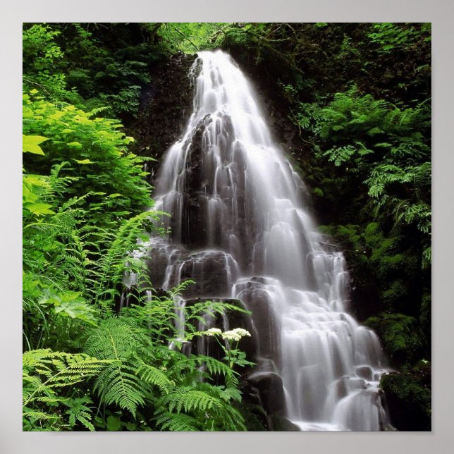 Mejerianläggningar Poster (Framsidan)