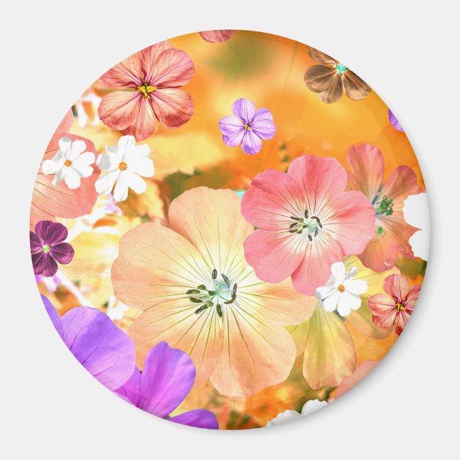 Mejeriet kommer snart att få kom 3 magnet (Framsidan)