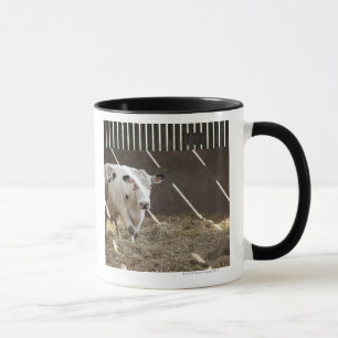 Mejeriko Mugg