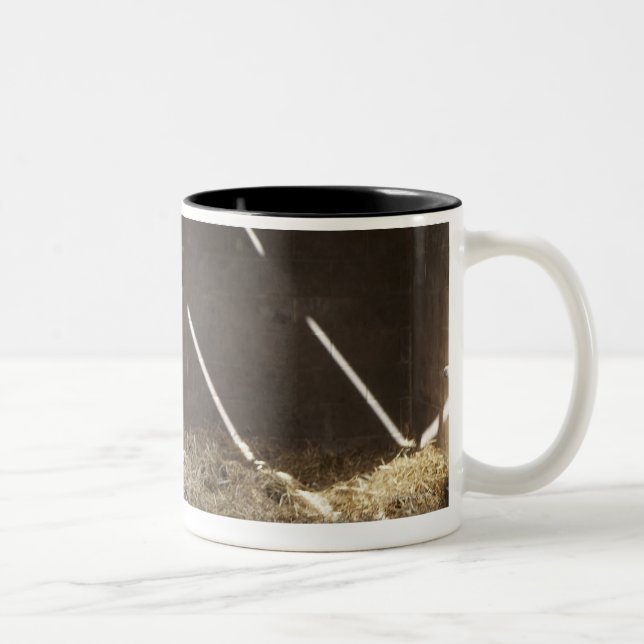 Mejeriko Två-Tonad Mugg (Höger)
