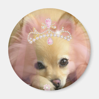 Mejeriprinsessa hund med diamanten krona magnet