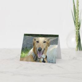 Mejlande greyhound kort