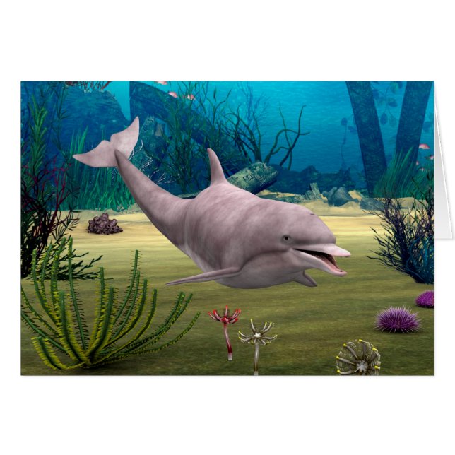 Mejling Dolphin Hälsningskort (Framsidan Horizontal)