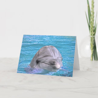 Mejling Dolphin Kort