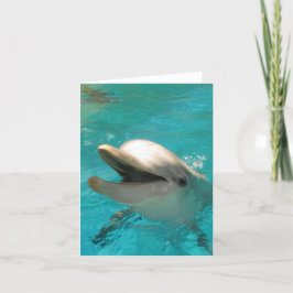 Mejling Dolphin Kort