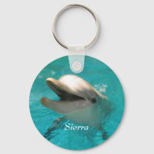 Mejling Dolphin