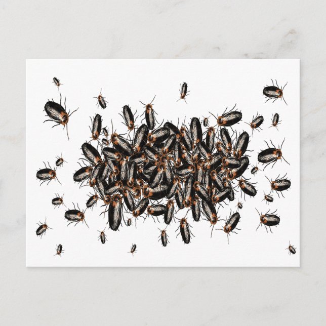 Mejsarens vykort för huvudvärk (Framsida)