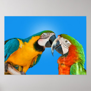 Mekaniskt säga efter det förälskade trycket poster