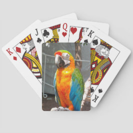 Mekaniskt säga efter och att leka kort, naturen, kortlek