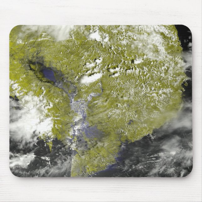 Mekongdeltat och Tonle Sap Musmatta (Framsidan)