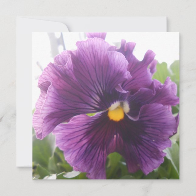 Mektelblått (Framsida)