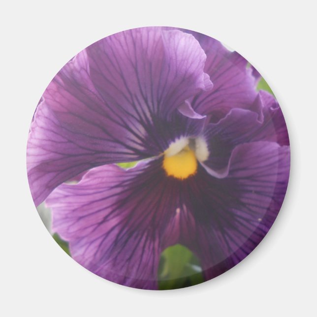 Mekteld Magnet (Framsidan)