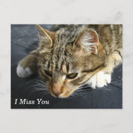 [Melancholy Cat] Jag saknar dig Vykort