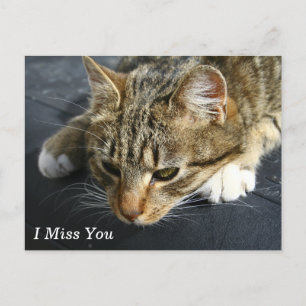 [Melancholy Cat] Jag saknar dig Vykort