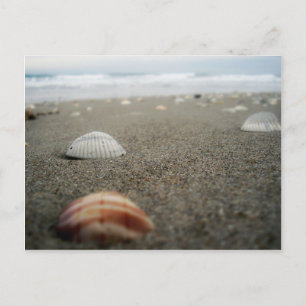 Melbourne-stranden, Florida Vykort