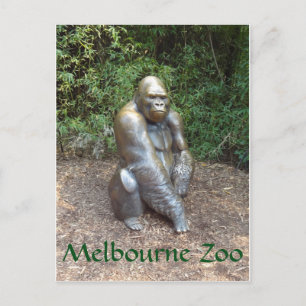 Melbourne Zoo Gorilla Vykort
