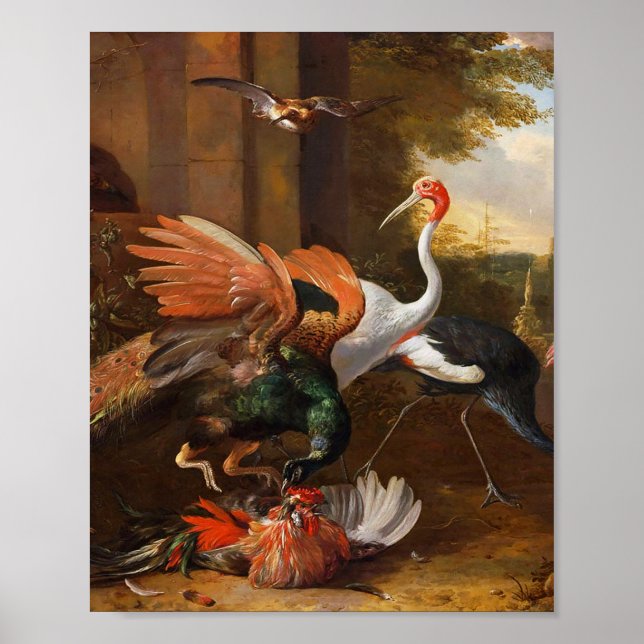Melchior d'Hondecoeter - Fåglar i en park Poster (Framsidan)