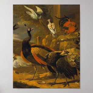 Melchior d'Hondecoeter - Fåglar i en park Poster