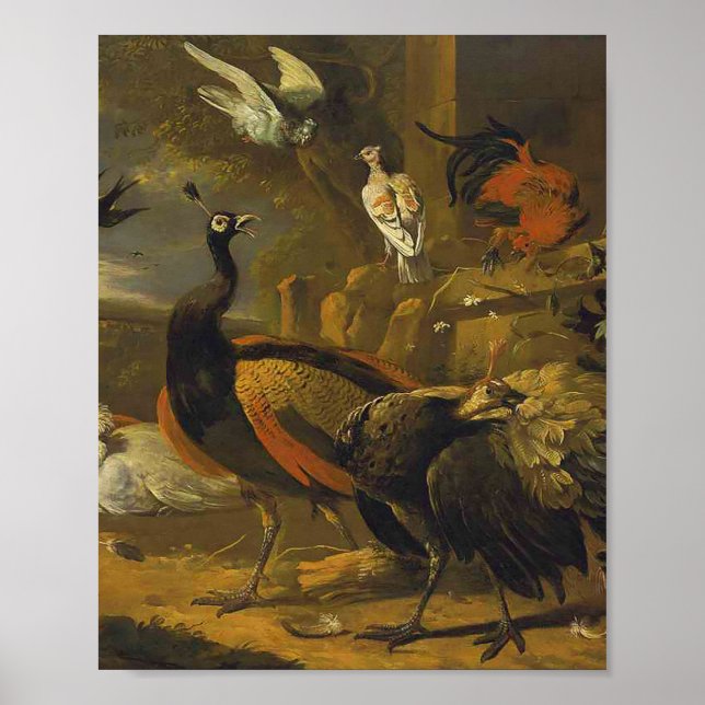 Melchior d'Hondecoeter - Fåglar i en park Poster (Framsidan)
