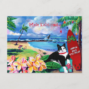 Mele Kalikimaka Cat at Poipu Beach Postcard Vykort