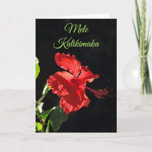 Mele Kalikimaka Kort