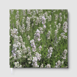 Melissa Lavender Gästböcker