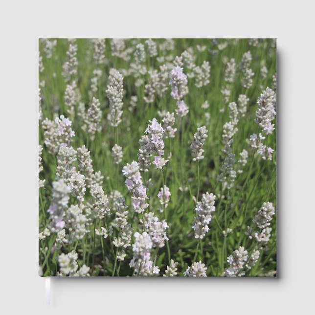 Melissa Lavender Gästböcker (Framsida)