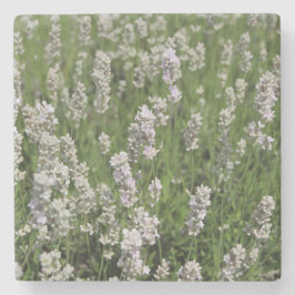 Melissa Lavender Stenunderlägg