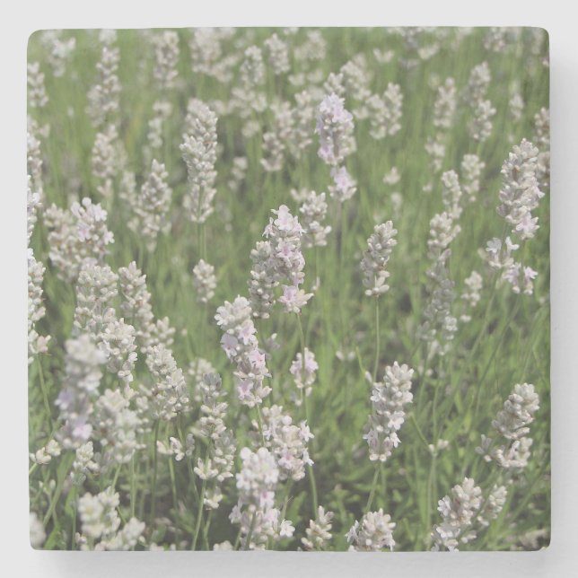 Melissa Lavender Stenunderlägg (Framsidan)