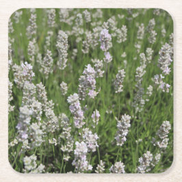 Melissa Lavender Underlägg Papper Kvadrat