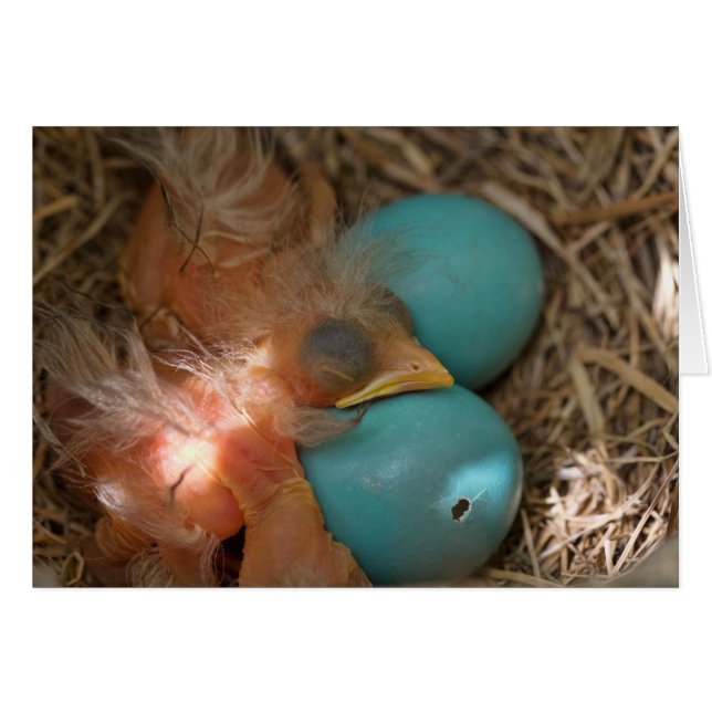 Mellan bröder hälsningskort (Framsidan Horizontal)