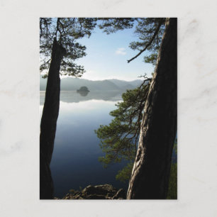 Mellan Gräs i Keswick Vykort