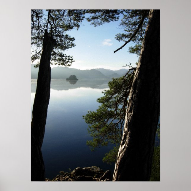 Mellan Gräs Poster (Framsidan)