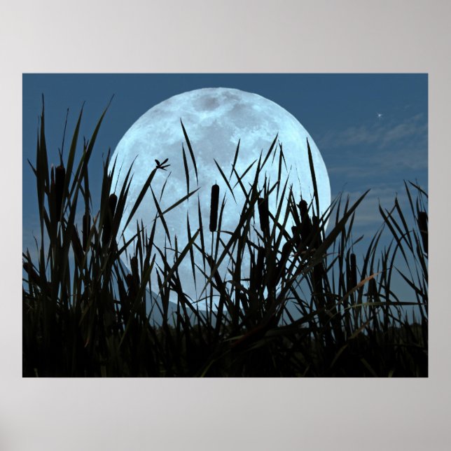 Mellan Måne och Marsh Poster (Framsidan)
