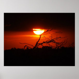 Mellan mörkret Poster