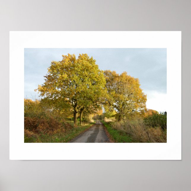 Mellan Oaks: Rural Cheshire Poster (Framsidan)