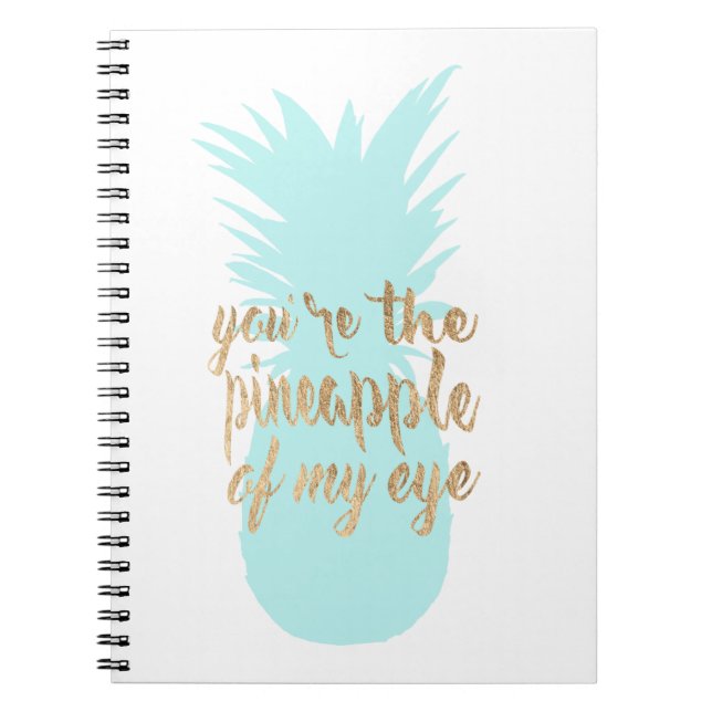 Mellan Red I Anteckningsbok Med Spiral (Framsidan)