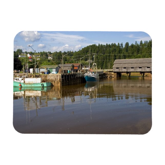 Mellan tidvatten i Bay of Fundy vid St. Martins, N Magnet (Horisontell)