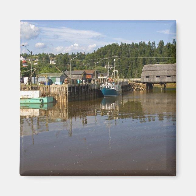 Mellan tidvatten i Bay of Fundy vid St. Martins, N Magnet (Framsidan)