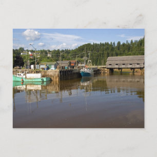 Mellan tidvatten i Bay of Fundy vid St. Martins, N Vykort